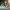 https://res.cloudinary.com/billionhands/image/upload/v1775460656/items/nclyrvrmzglctz9m7ctt.jpg-2cover