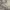 https://res.cloudinary.com/billionhands/image/upload/v1775461239/items/bd8v2xnzoipzyos5wdhn.png-2cover