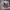 https://res.cloudinary.com/billionhands/image/upload/v1775461240/items/rxaudjbdmmgdgwldyc55.webp-3cover