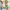 https://res.cloudinary.com/billionhands/image/upload/v1775461479/items/zvf8dgsgaw51goeqckso.png-1cover