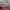 https://res.cloudinary.com/billionhands/image/upload/v1775461833/items/zea9ucyghzy02adc1pds.jpg-2cover