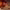 https://res.cloudinary.com/billionhands/image/upload/v1775462038/items/jqdmwccq7fe4qsfzidrz.jpg-2cover