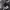 https://res.cloudinary.com/billionhands/image/upload/v1775462224/items/pz79tphhk9z3su9fpby3.jpg-2cover