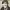 https://res.cloudinary.com/billionhands/image/upload/v1775462225/items/d481yvojsvviu05fmaqt.webp-2cover