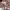 https://res.cloudinary.com/billionhands/image/upload/v1775463488/items/o5kdjstdwsg3l3jvlnrw.webp-3cover