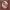 https://res.cloudinary.com/billionhands/image/upload/v1775466844/items/ya0exa8jcetfxzyutu4e.jpg-0cover