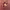 https://res.cloudinary.com/billionhands/image/upload/v1775466845/items/eyihn0lfh0zbnqdxfiax.jpg-2cover