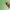 https://res.cloudinary.com/billionhands/image/upload/v1775468274/items/celivxagihgsotx0rkui.jpg-2cover