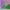 https://res.cloudinary.com/billionhands/image/upload/v1775468286/items/nolyds90zcmtowsgp4fb.jpg-1cover