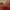 https://res.cloudinary.com/billionhands/image/upload/v1775469016/items/rklgq2zciju882ynufyf.jpg-0cover