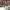 https://res.cloudinary.com/billionhands/image/upload/v1775469026/items/io5dbowbxkyijow9yksx.jpg-1cover