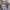 https://res.cloudinary.com/billionhands/image/upload/v1775469217/items/myqov0g6noxn3ixyxftr.jpg-3cover