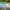 https://res.cloudinary.com/billionhands/image/upload/v1775469515/items/dj70xuqmpctpmmd8gacs.jpg-2cover