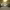 https://res.cloudinary.com/billionhands/image/upload/v1775470142/items/mhsukm9bfrmbfqlvizdk.webp-2cover