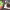 https://res.cloudinary.com/billionhands/image/upload/v1775470295/items/o7yi8kduvlcregkbohh5.webp-1cover