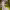 https://res.cloudinary.com/billionhands/image/upload/v1775471848/items/hx0ohut1sbqahjgxop3x.jpg-2cover