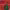 https://res.cloudinary.com/billionhands/image/upload/v1775474651/items/rolyonyqpzq9e59fn4lo.jpg-1cover
