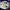 https://res.cloudinary.com/billionhands/image/upload/v1775476844/items/rqjaw3wwtrcvhblsfjaz.jpg-2cover