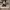https://res.cloudinary.com/billionhands/image/upload/v1775488216/items/u26h1b6vwmpy1v7cg2hv.webp-0cover