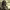 https://res.cloudinary.com/billionhands/image/upload/v1775490088/items/bcmowndfbw0ajewnd08e.avif-2cover
