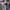 https://res.cloudinary.com/billionhands/image/upload/v1775490534/items/m9nw8m0t5mwufaxynkcs.jpg-1cover