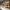 https://res.cloudinary.com/billionhands/image/upload/v1775491660/items/nii6gv9cvtxiqdv7l0ca.avif-3cover