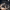 https://res.cloudinary.com/billionhands/image/upload/v1775491735/items/e9pn2voxtayisdteb5zm.jpg-2cover