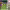 https://res.cloudinary.com/billionhands/image/upload/v1775494741/items/z3gzobkrfgn4vttaytwu.jpg-2cover