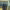 https://res.cloudinary.com/billionhands/image/upload/v1775495499/items/dtpvymsusiilmxmzo10o.jpg-1cover