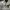 https://res.cloudinary.com/billionhands/image/upload/v1775495614/items/vjfsi46be04nwncuhkav.jpg-1cover