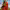 https://res.cloudinary.com/billionhands/image/upload/v1775496681/items/w0xowdkizyd9oaufm0e7.jpg-3cover