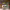 https://res.cloudinary.com/billionhands/image/upload/v1775499171/items/hiytlkm8pvbneytkysnh.webp-2cover