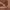 https://res.cloudinary.com/billionhands/image/upload/v1775499237/items/kiwavqzyqkcqama9fy3b.png-0cover