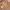 https://res.cloudinary.com/billionhands/image/upload/v1775499241/items/pyhrtps5cfgiaiql83nm.jpg-3cover