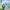 https://res.cloudinary.com/billionhands/image/upload/v1775500490/items/mbuvn0z3pisfjorvsbdv.webp-3cover