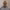Escándalo de Phillip Schofield - This Morning (2023) cover