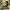 https://res.cloudinary.com/billionhands/image/upload/v1775500941/items/zdfccxapyf4ixtjkhcax.jpg-3cover