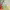 https://res.cloudinary.com/billionhands/image/upload/v1775501196/items/aeoau1v79iucy1fuanrm.jpg-0cover