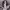 https://res.cloudinary.com/billionhands/image/upload/v1775501605/items/jq87gvcrbdjfh5ccu3n9.avif-2cover