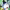 https://res.cloudinary.com/billionhands/image/upload/v1775501837/items/lnl83gnsmppwj7fdgglk.webp-3cover
