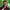 John Krasinski cover