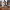 https://res.cloudinary.com/billionhands/image/upload/v1775502311/items/kcjvgwn0etylxvndscre.png-2cover