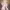 Vestido Zuhair Murad Couture Primavera-Verano (2026) cover