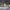 https://res.cloudinary.com/billionhands/image/upload/v1775503051/items/a26mbe7rtttv20wlrypq.jpg-3cover