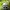 https://res.cloudinary.com/billionhands/image/upload/v1775503276/items/jto2puewbrgzeijrhv4a.jpg-0cover