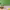 https://res.cloudinary.com/billionhands/image/upload/v1775503438/items/c5zuc33p9gide5dj6yhw.webp-2cover