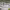 https://res.cloudinary.com/billionhands/image/upload/v1775503942/items/bjrryscgjadn0wjc1dnj.jpg-1cover