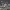 https://res.cloudinary.com/billionhands/image/upload/v1775503953/items/wyzfaw7lrditl469t4x2.jpg-2cover