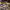 https://res.cloudinary.com/billionhands/image/upload/v1775504384/items/aaewqf7oefhavfglpygs.webp-2cover