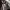 https://res.cloudinary.com/billionhands/image/upload/v1775504494/items/zyfpqxea5euzydsmf5k0.jpg-3cover